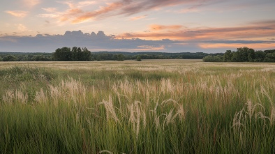 central eden prairie